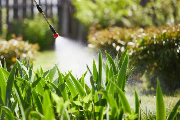 24/7 Emergency Termite Control experts in Watchung, NJ