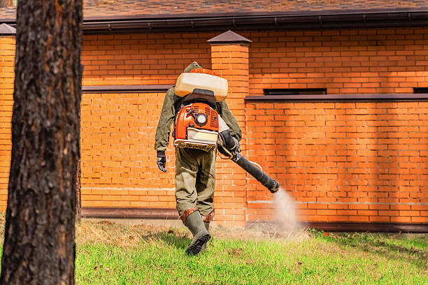 Top rated local Termite Control specialists in Watchung, NJ